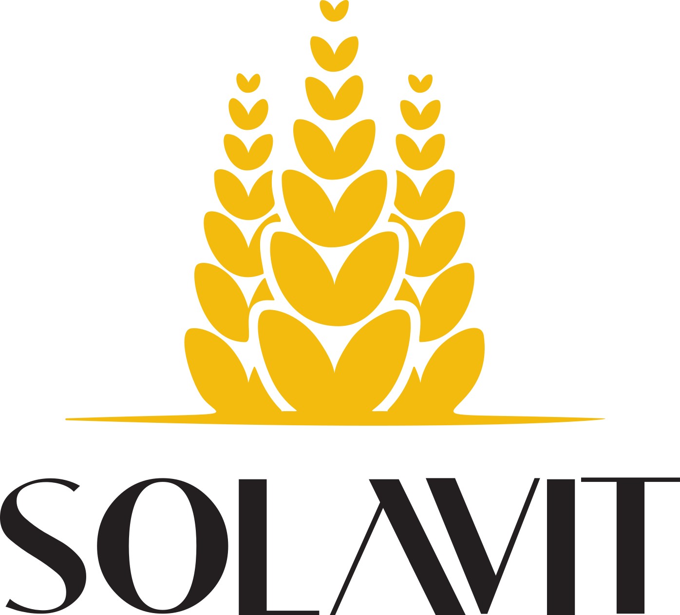SOLAVIT