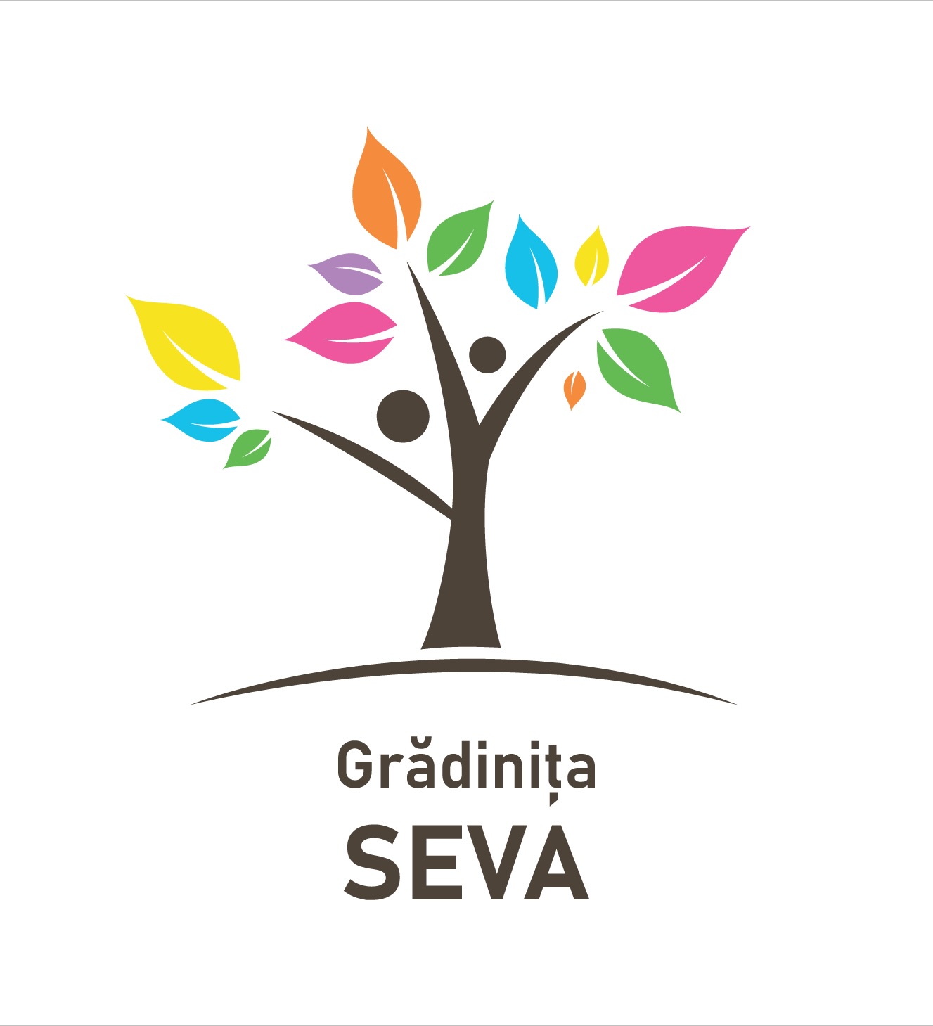 Grădinița SEVA