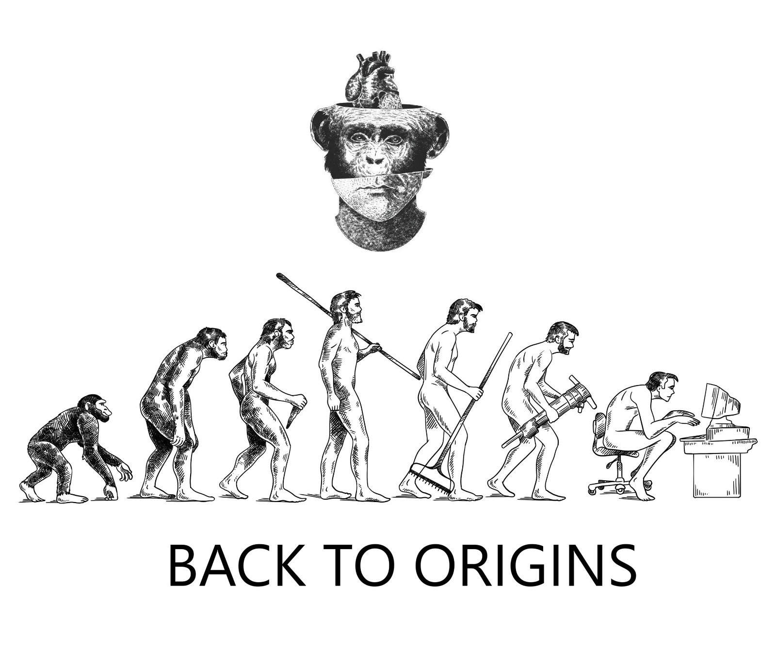 BACK TO ORIGINS