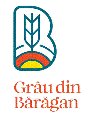 Grâu din Bărăgan