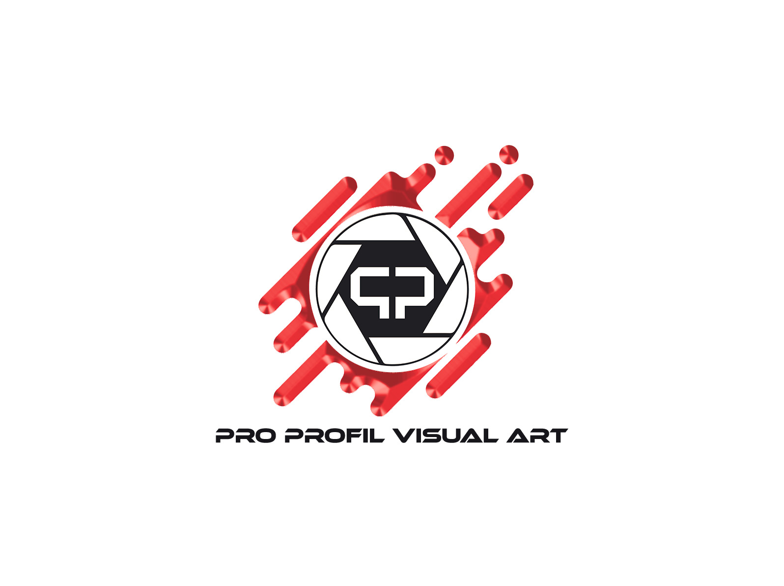 PRO PROFIL VISUAL ART