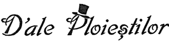 D'ale Ploiestilor