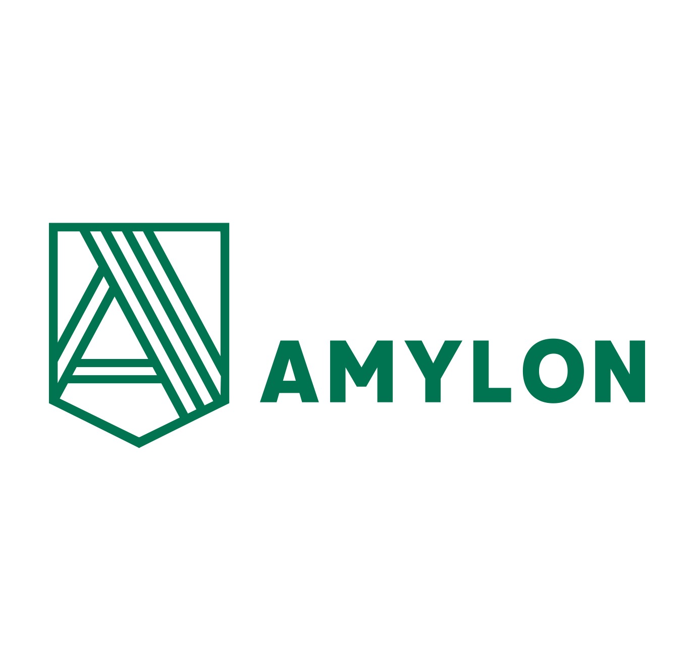 AMYLON