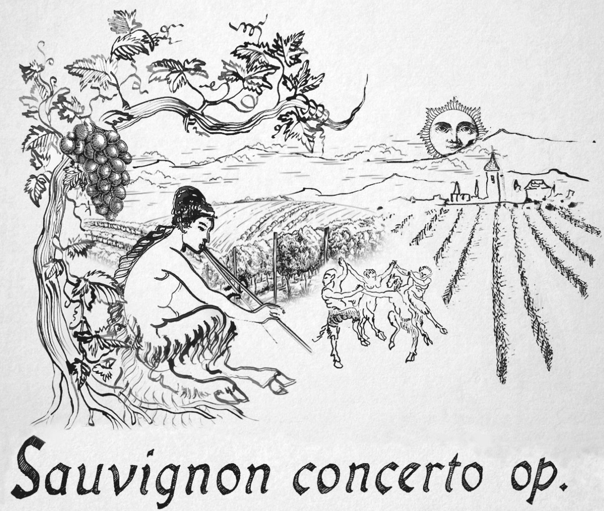 Sauvignon concerto op.