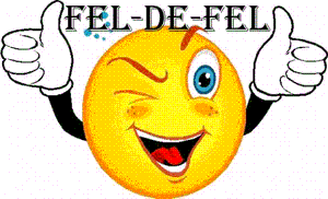FEL DE FEL