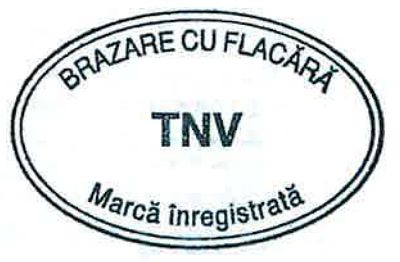 BRAZARE CU FLACĂRĂ TNV Marcă înregistrată