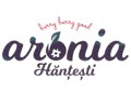berry berry good aronia Hănțești