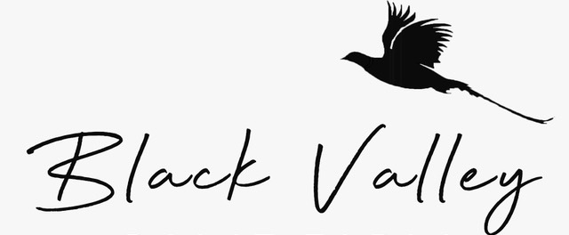 Black Valley