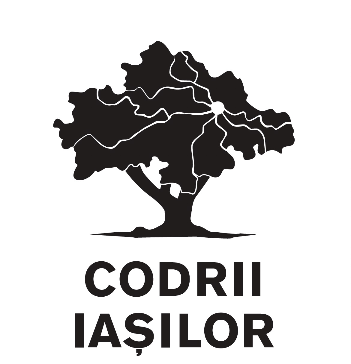 CODRII IAŞILOR