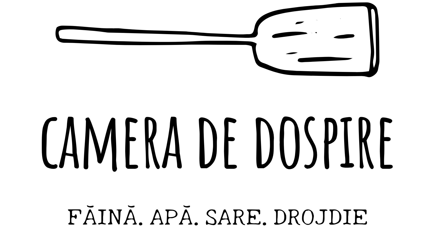 CAMERA DE DOSPIRE FĂINĂ. APĂ. SARE. DROJDIE