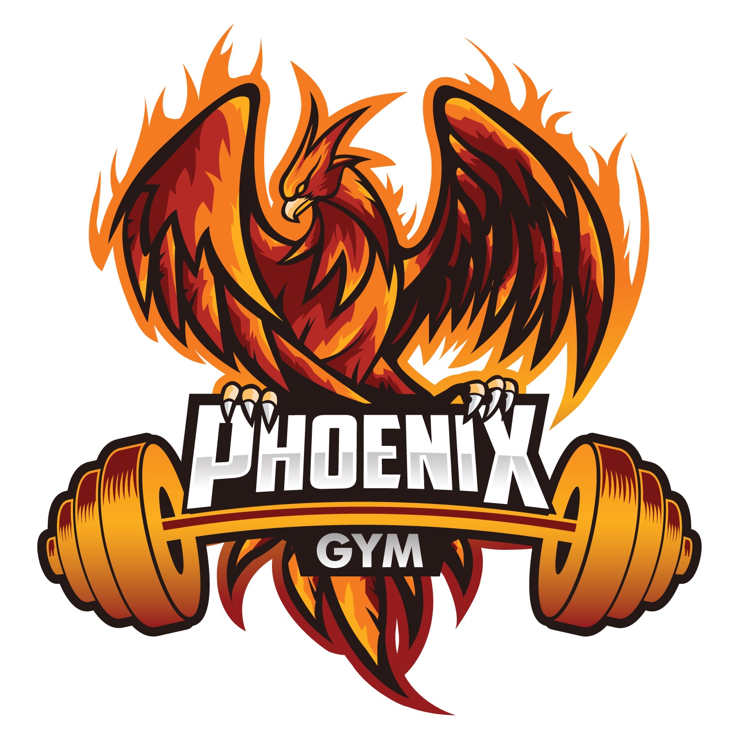PHOENIX GYM