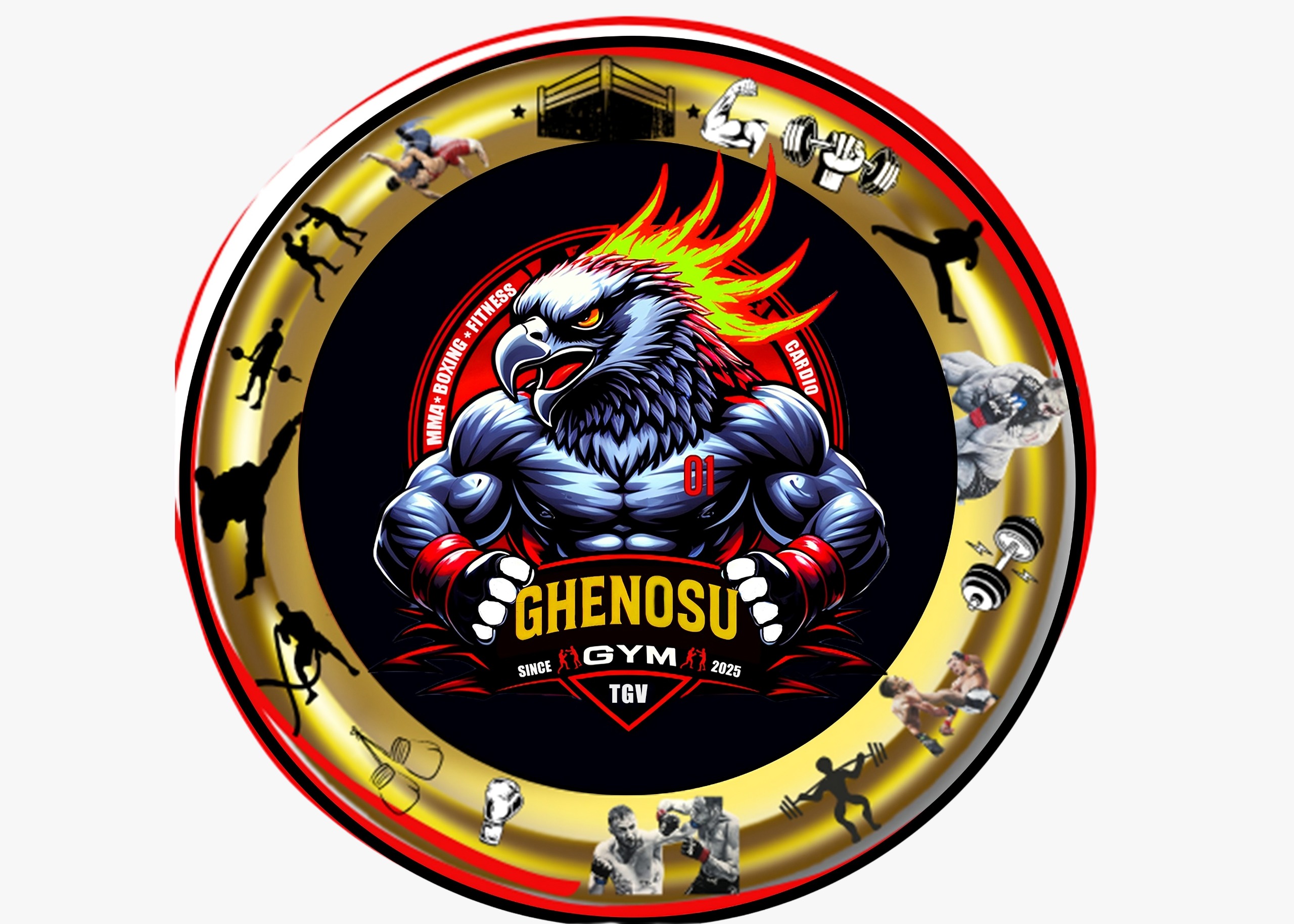 GHENOSU GYM since 2025 TGV
