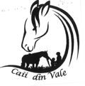 Caii din Vale