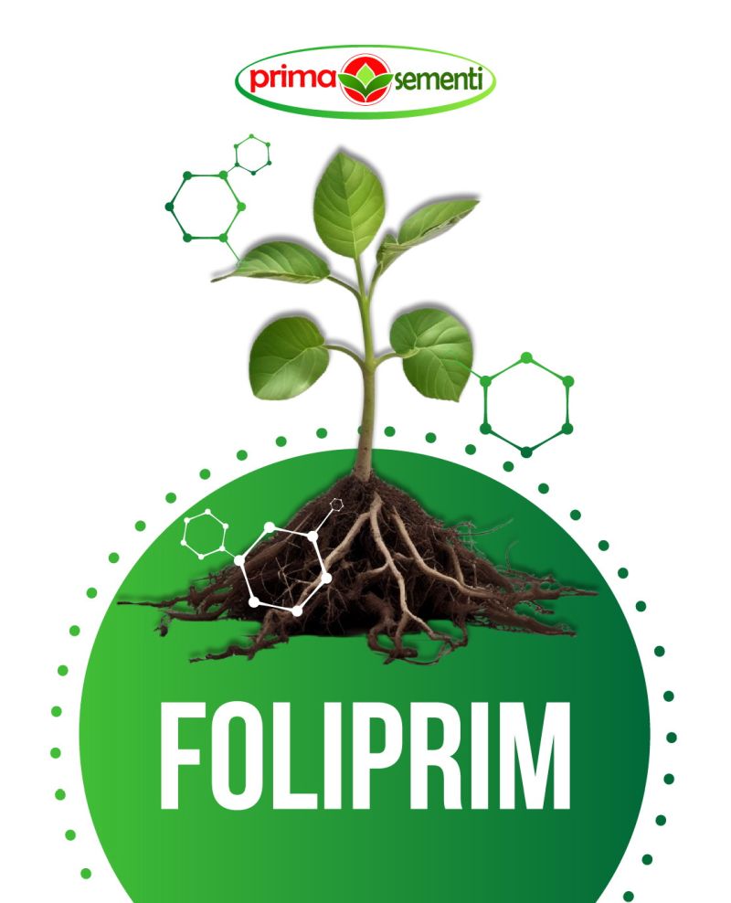 FOLIPRIM PRIMA SEMENTI