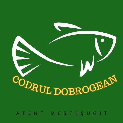 CODRUL DOBROGEAN ATENT MEŞTEŞUGIT