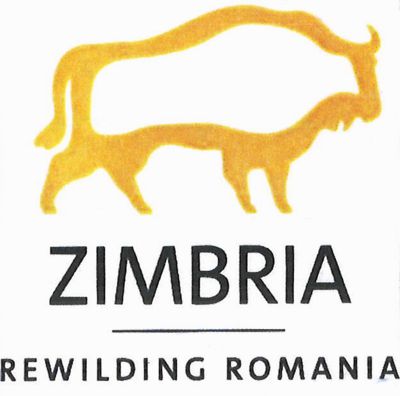 ZIMBRIA REWILDING ROMANIA