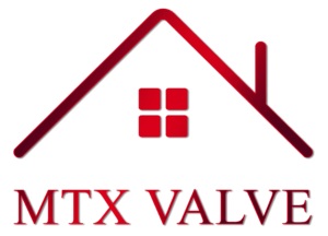 MTX VALVE