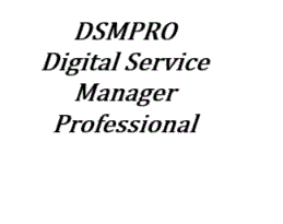 DSMPRO Digital Service Manager Professional