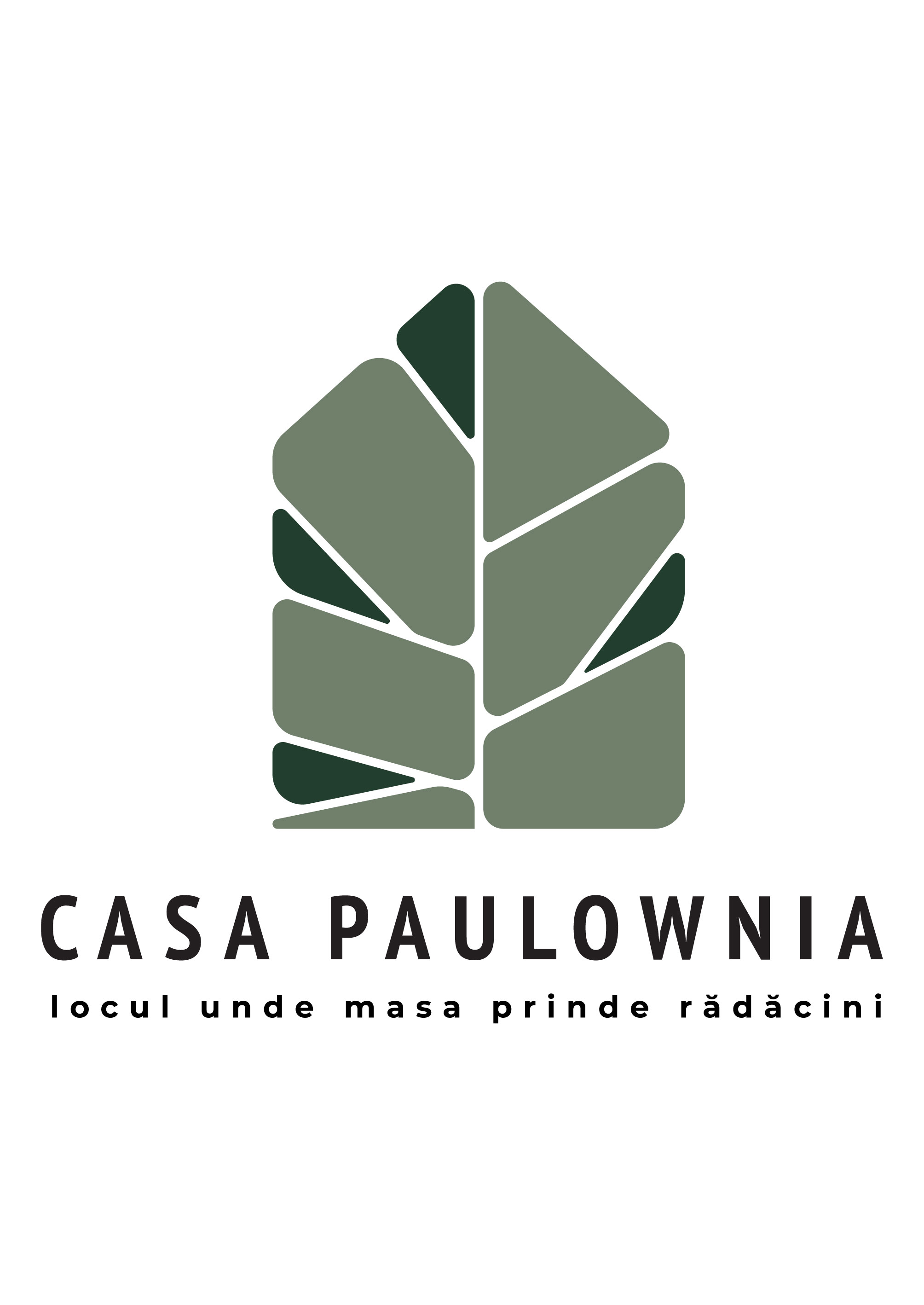 CASA PAULOWNIA locul unde masa prinde radacini