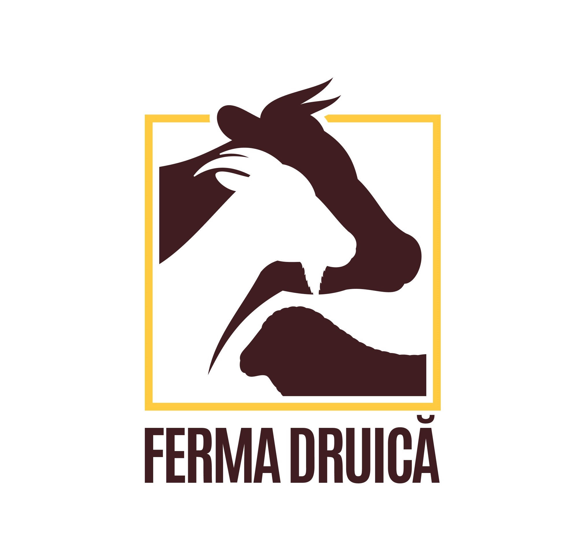 FERMA DRUICĂ