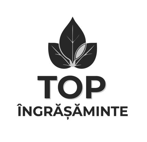 TOP ÎNGRĂȘĂMINTE