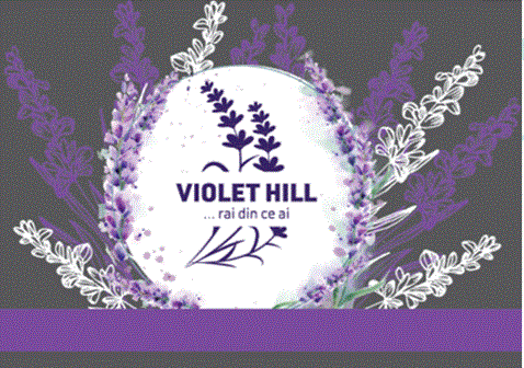 VIOLET HILL ...rai din ce ai