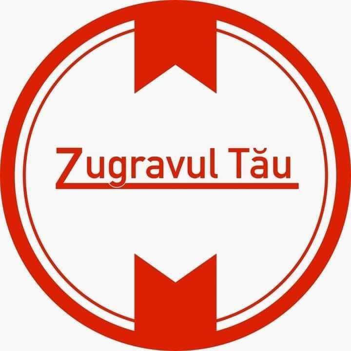 Zugravul Tău