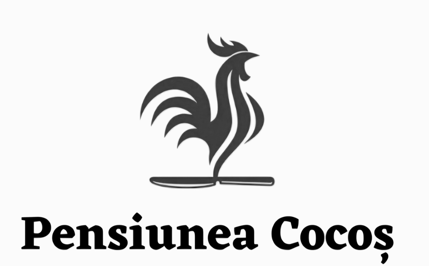 Pensiunea Cocoș