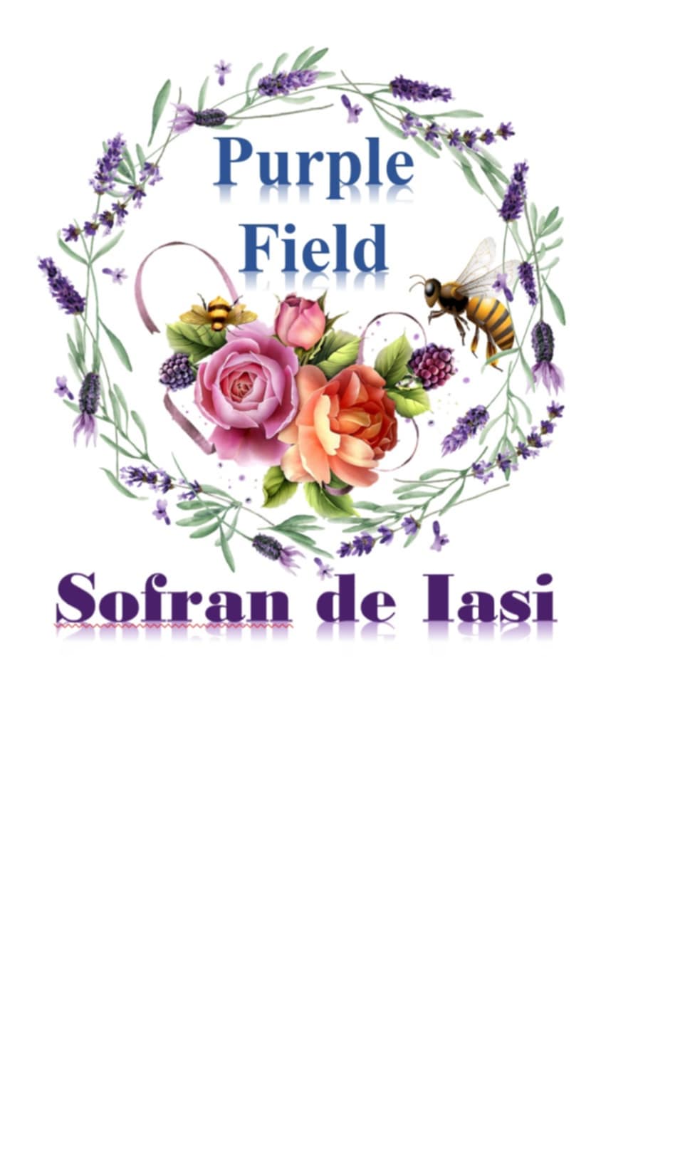 Purple Field Sofran de Iasi