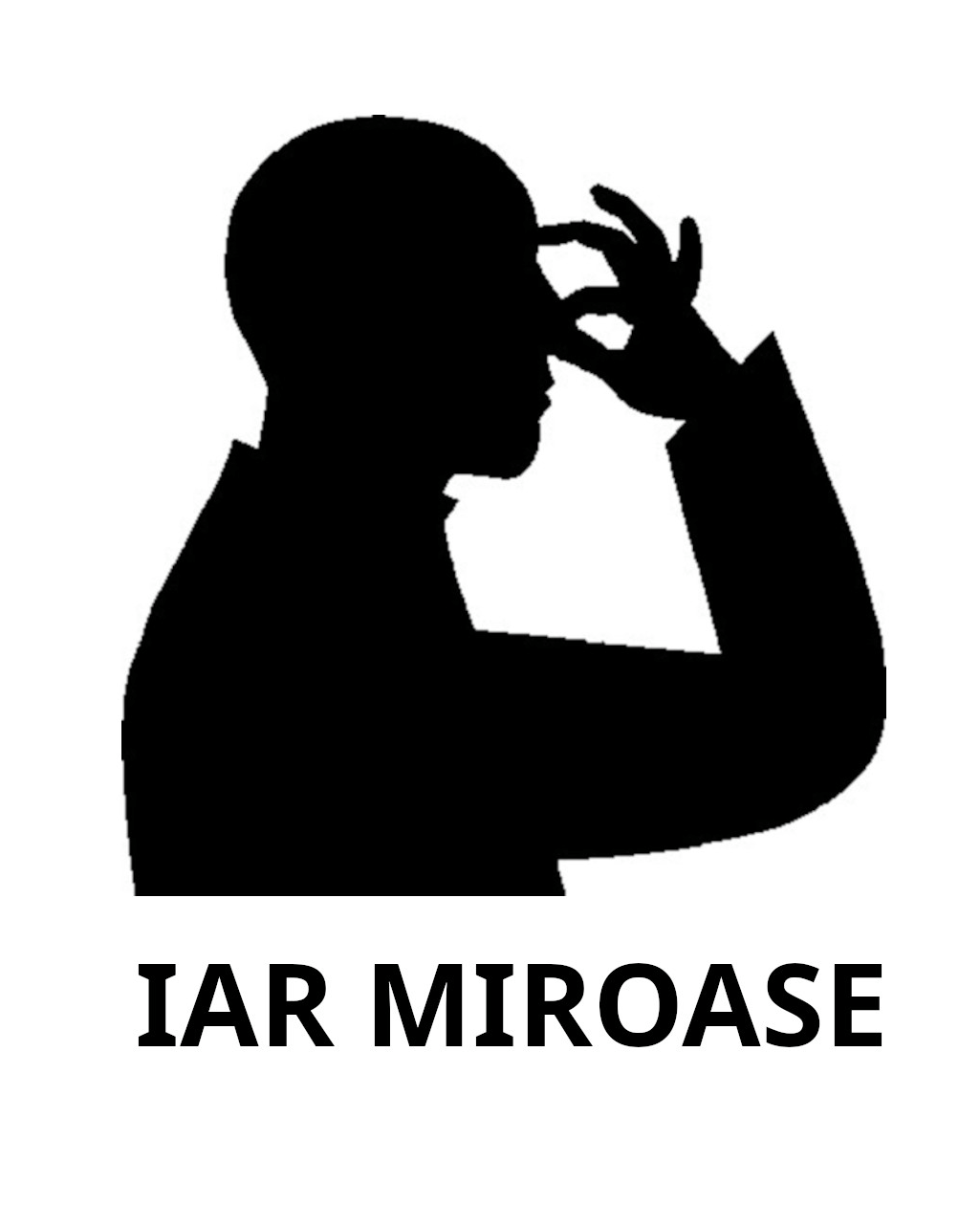 IAR MIROASE