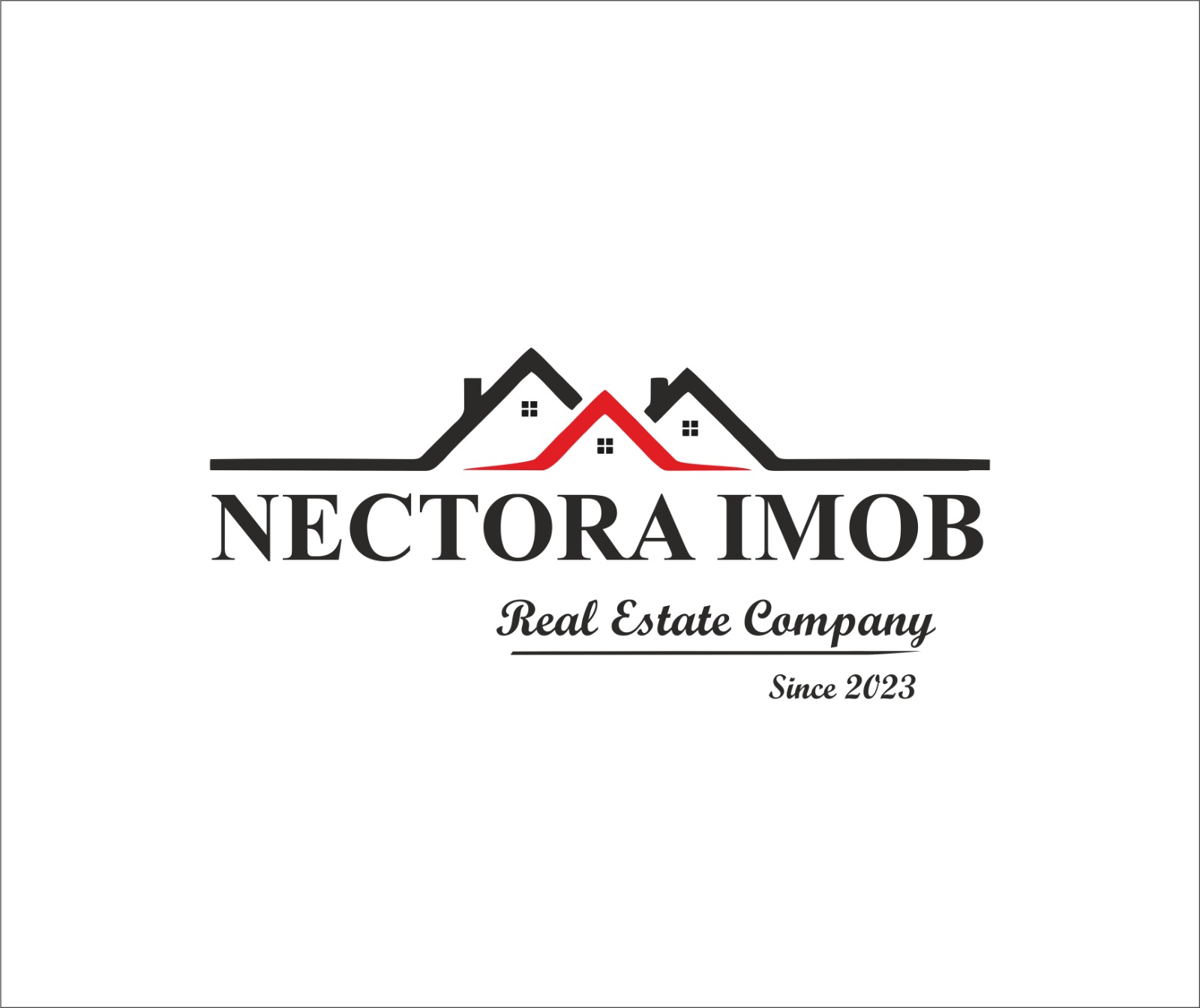 NECTORA IMOB Real Estate Company Since 2023