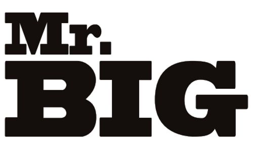 Mr. BIG