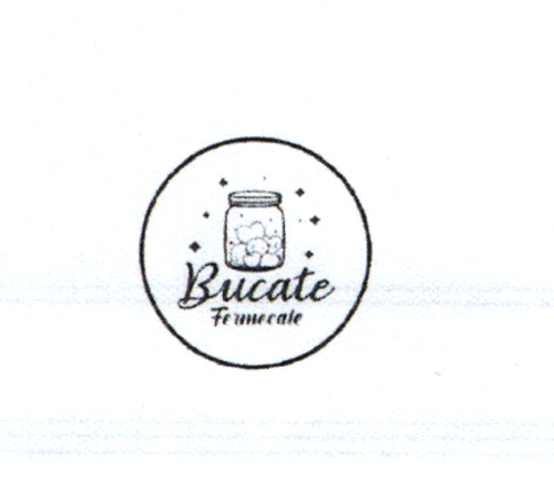 Bucate Fermecate