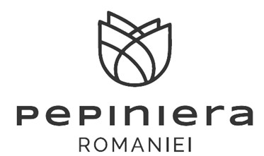 PEPINIERA ROMANIEI