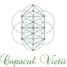 Copacul Vietii