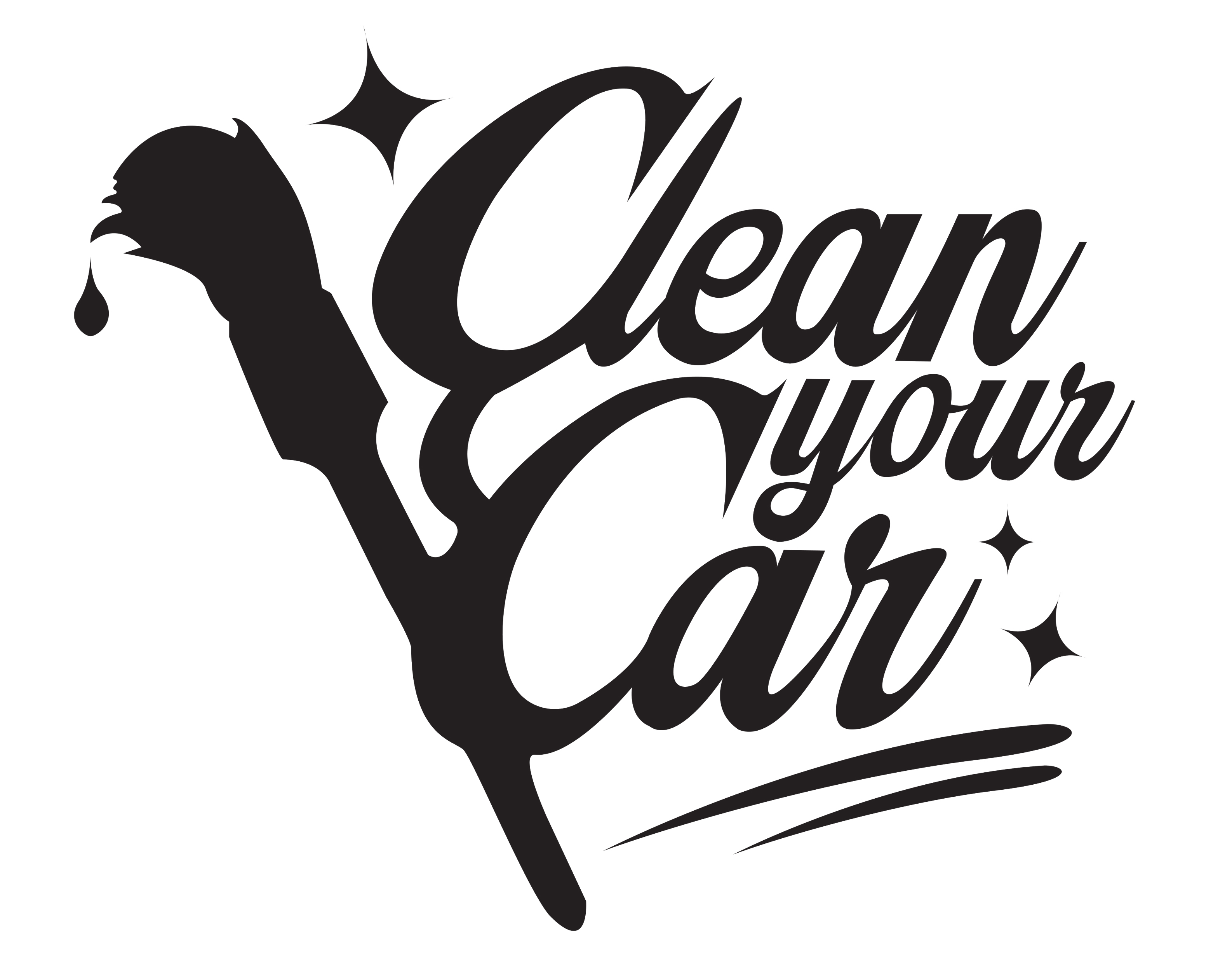 Clean your Car