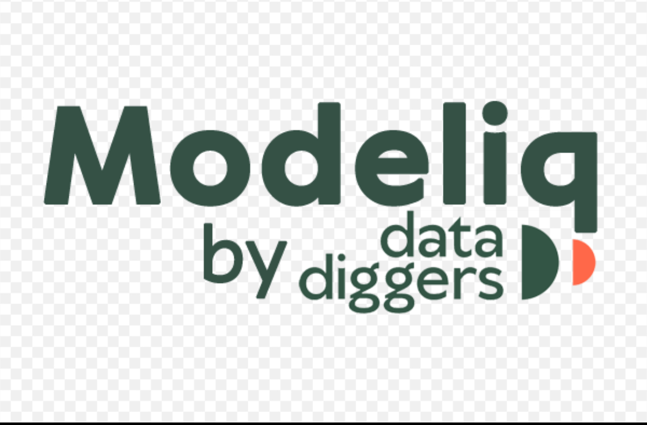 Modeliq by data diggers