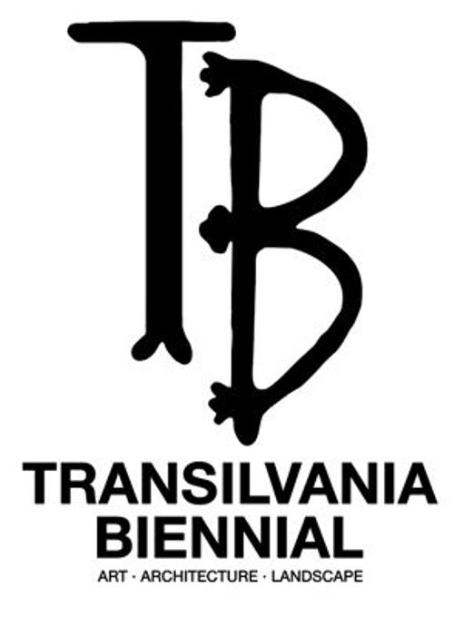 IB TRANSILVANIA BIENNIAL ART ARCHITECTURE LANDSCAPE