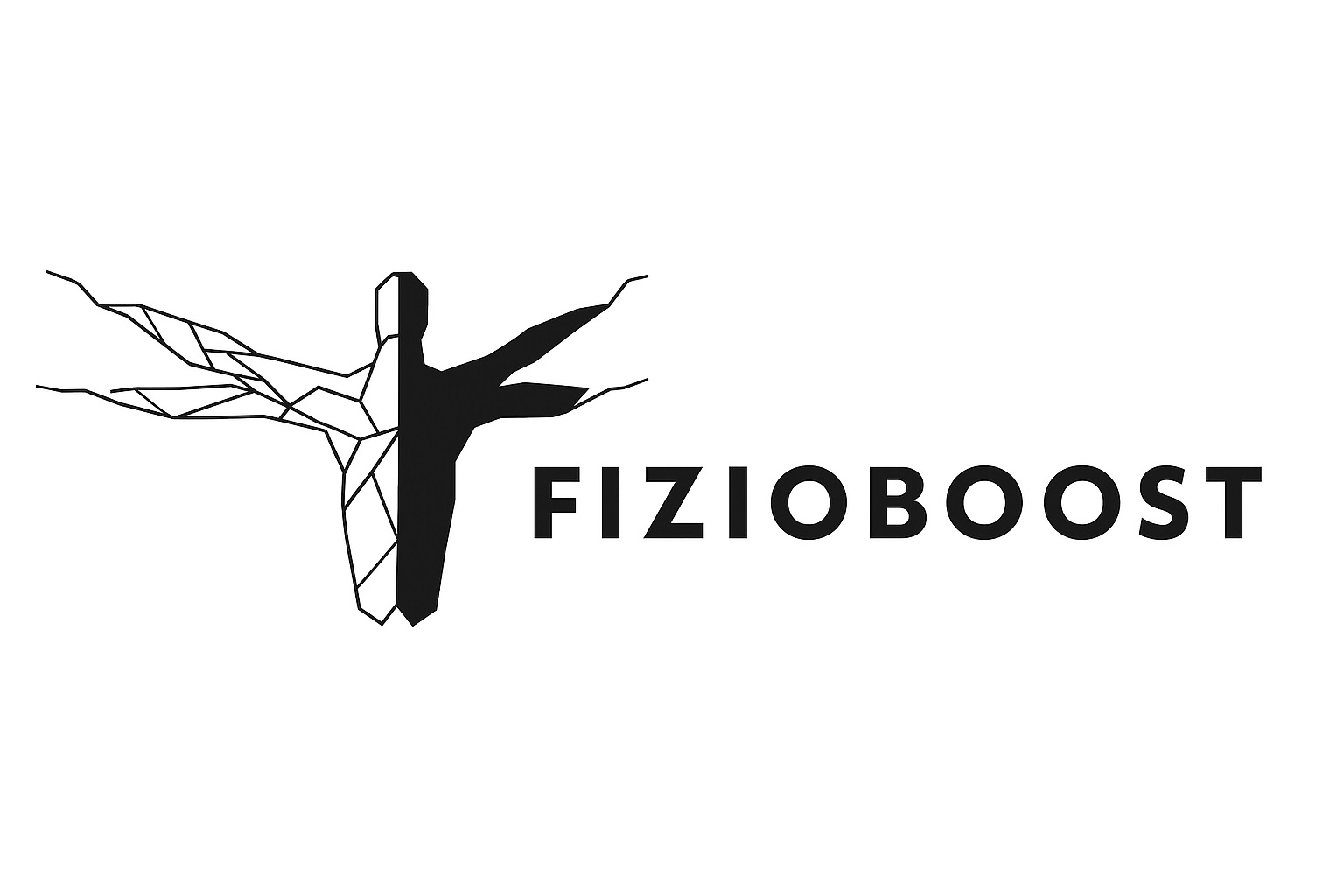 FIZIOBOOST