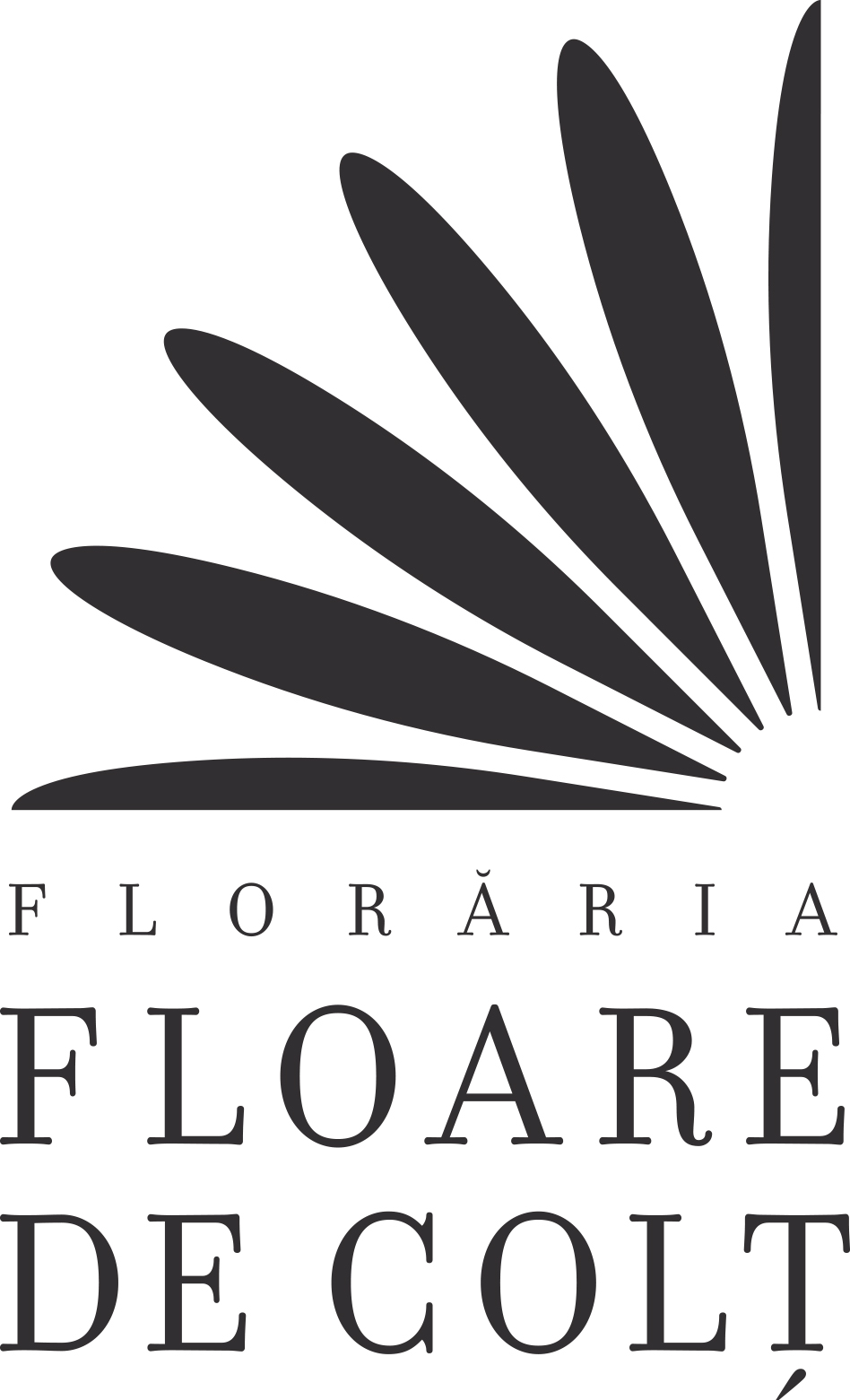 FLORĂRIA FLOARE DE COLȚ