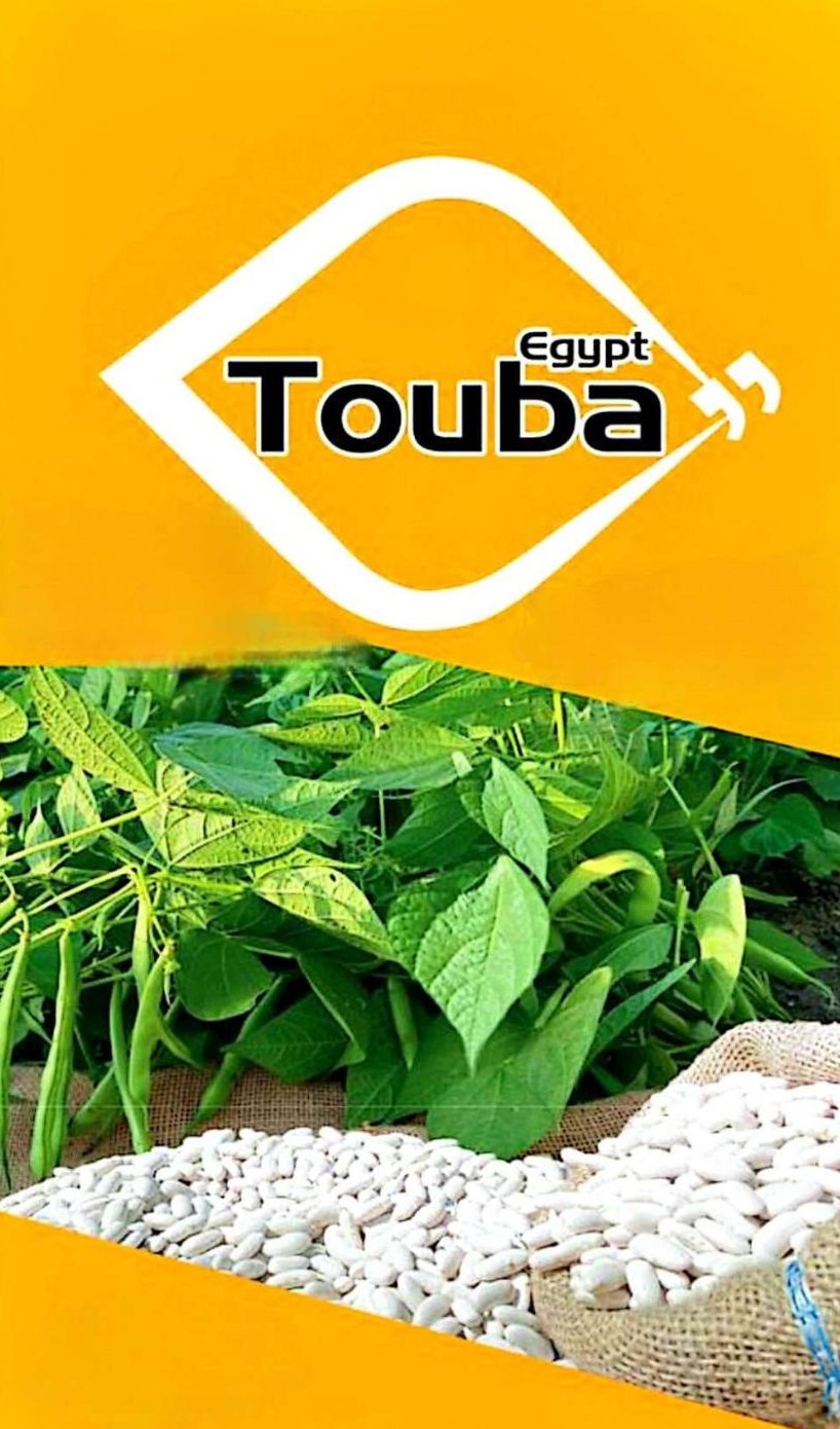 Egypt Touba