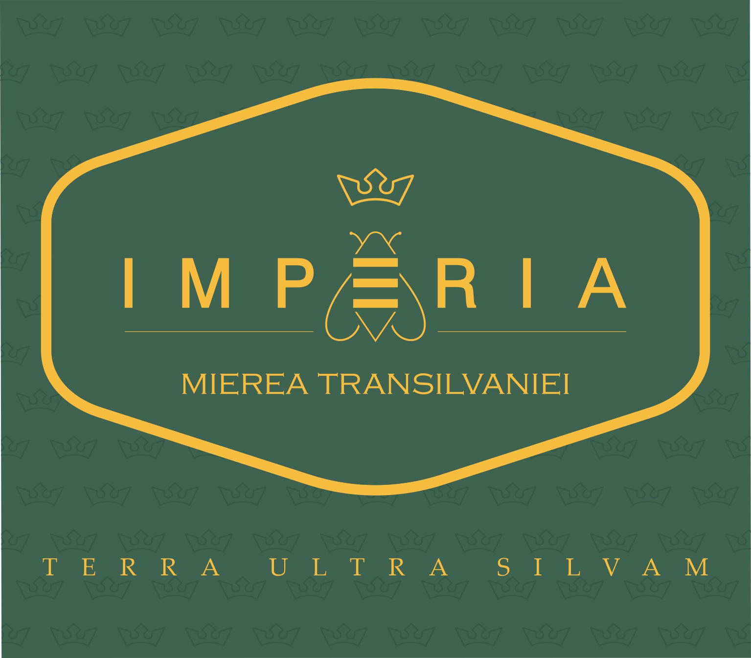 IMPERIA MIEREA TRANSILVANIEI TERRA ULTRA SILVAM