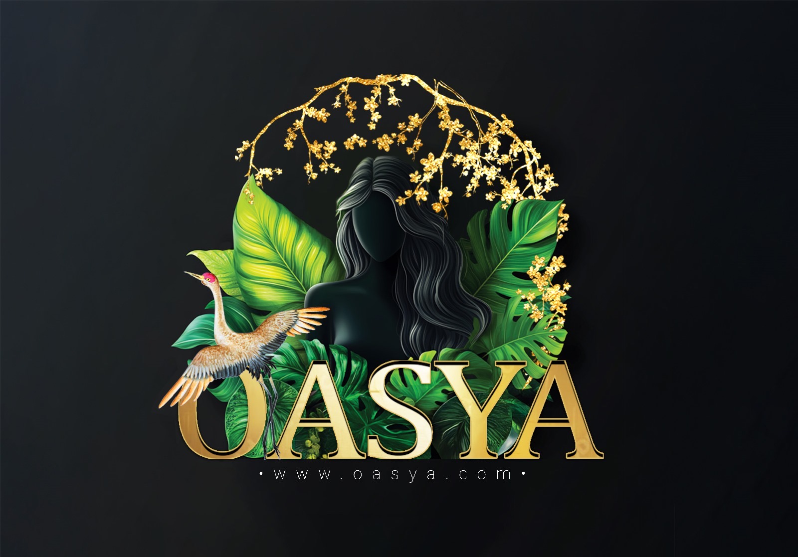 OASYA www.oasya.com