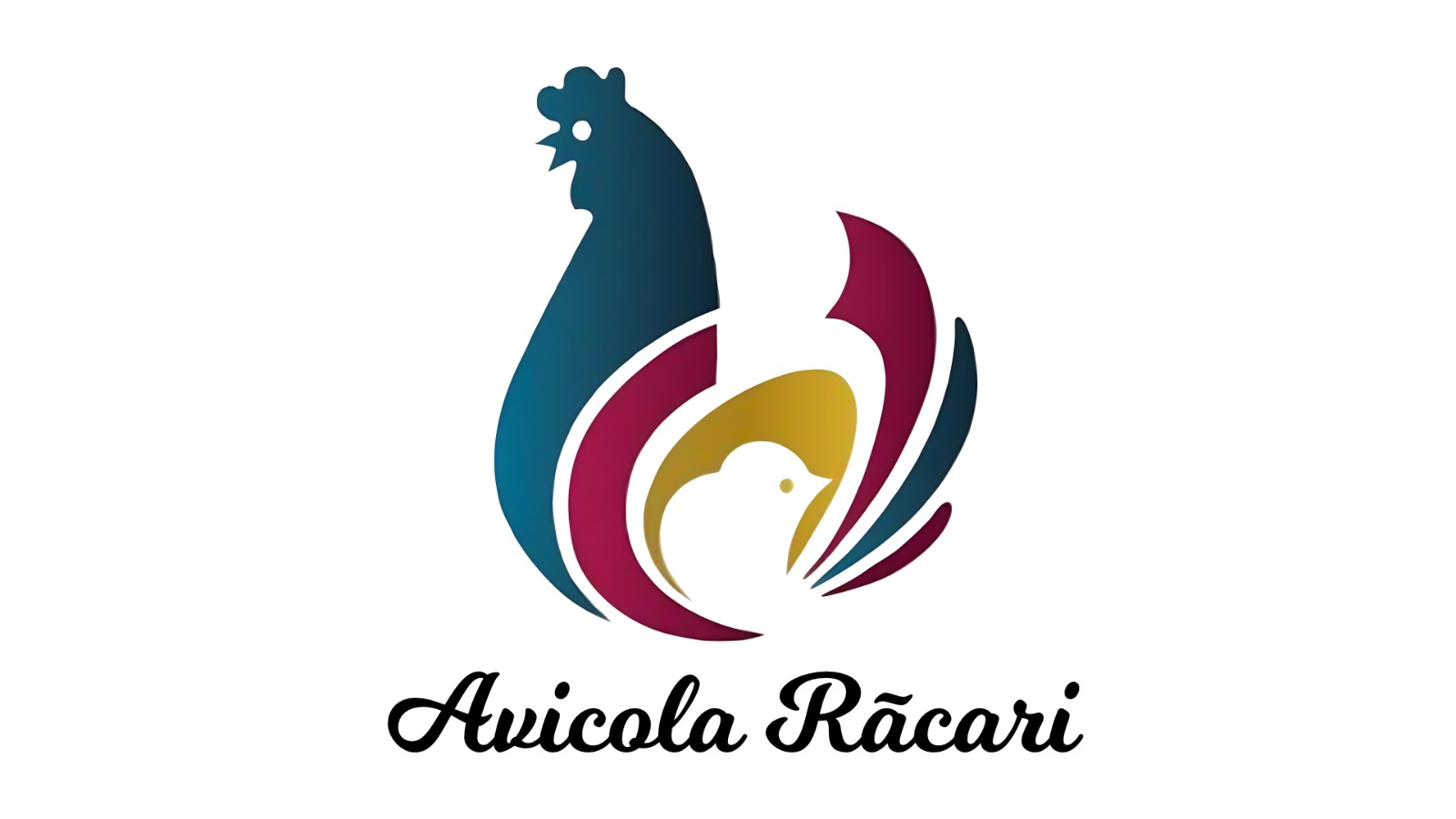 Avicola Racari