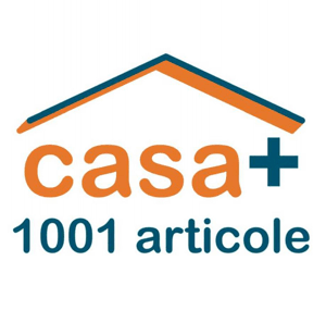casa+ 1001 articole