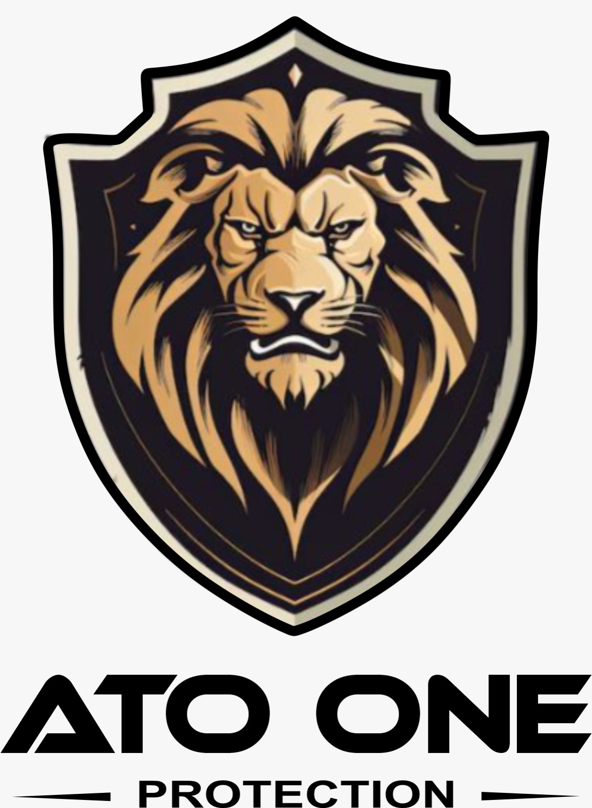 ATO ONE PROTECTION