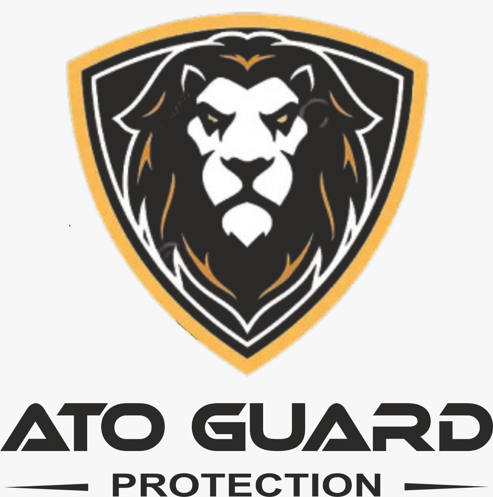 ATO GUARD PROTECTION